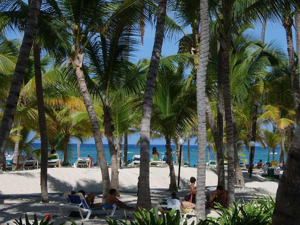 Palmen und Strand Hotel Riu Bambu