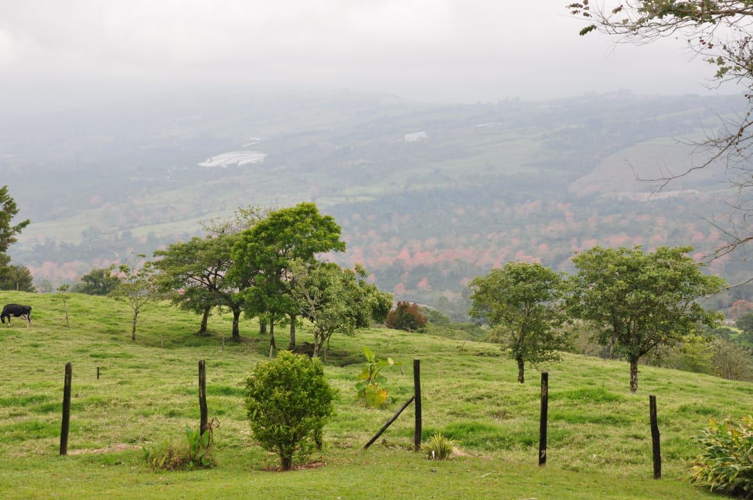 Blick von der Terrasse Hotel Guayabo Lodge