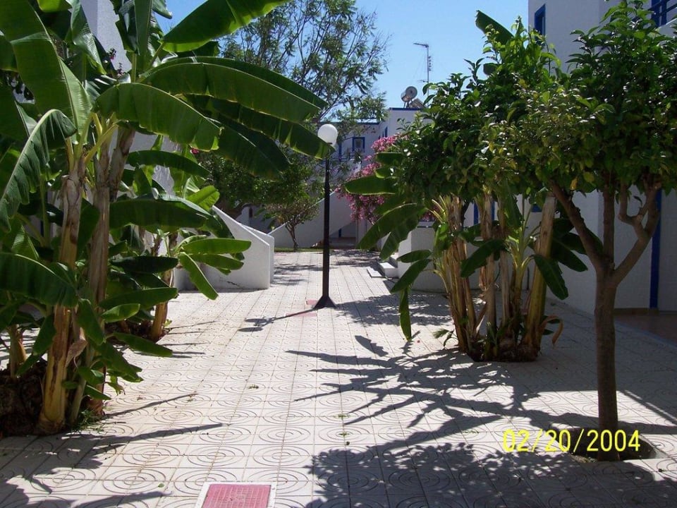Gang  Hotel Tigaki's Star