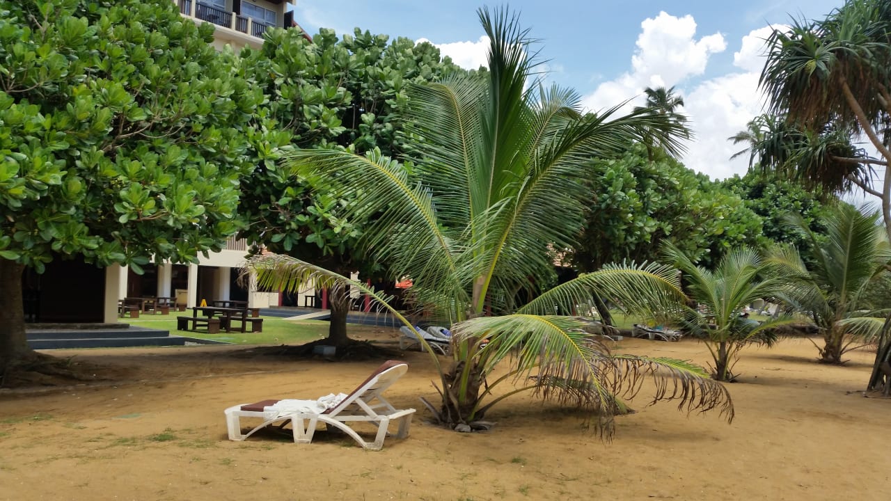 Gartenanlage Turyaa Kalutara