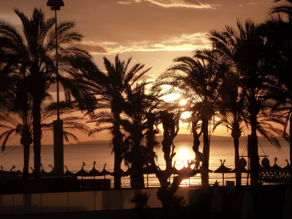 Blick aus dem Speisesaal Hotel Playa Golf