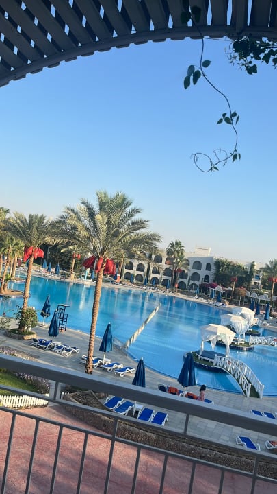 Ausblick Desert Rose