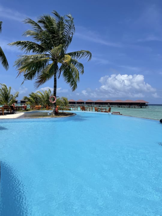 Pool Filitheyo Island Resort