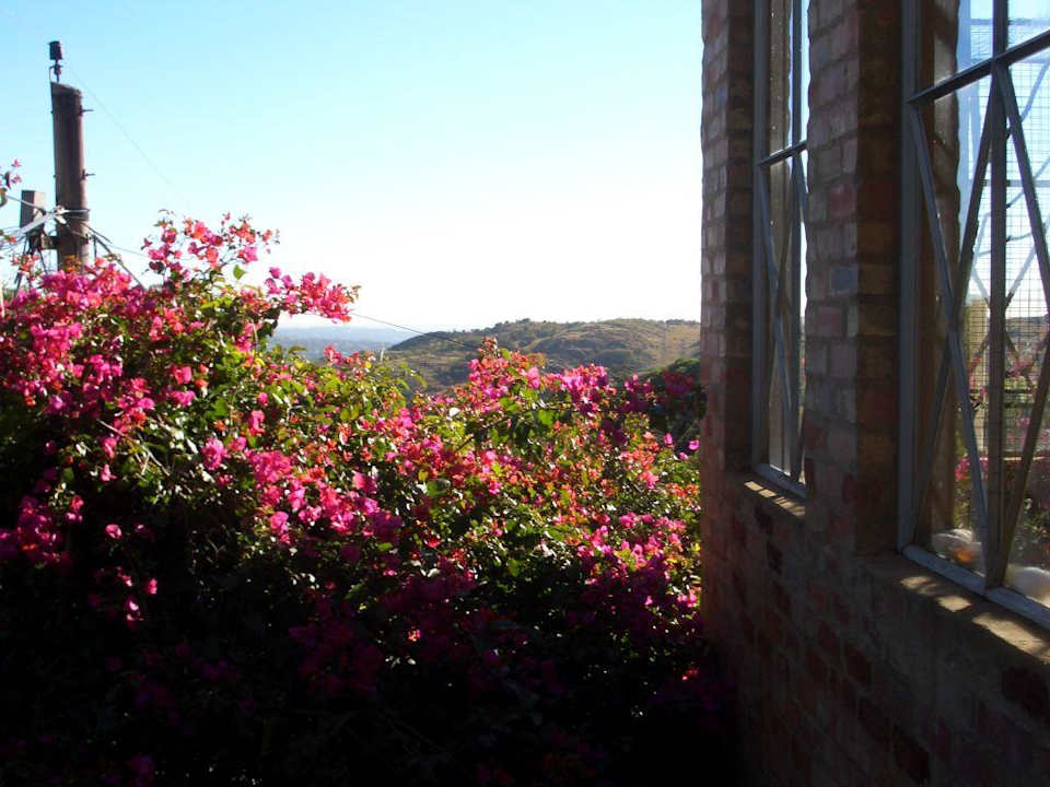 Garten Guest House Tolip Street Corner Fourth Avenue