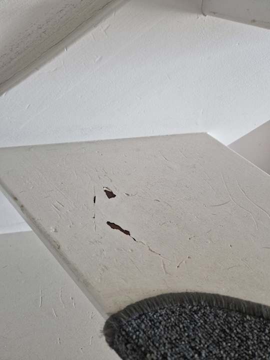 Zimmer Beach Villa's Hoek van Holland