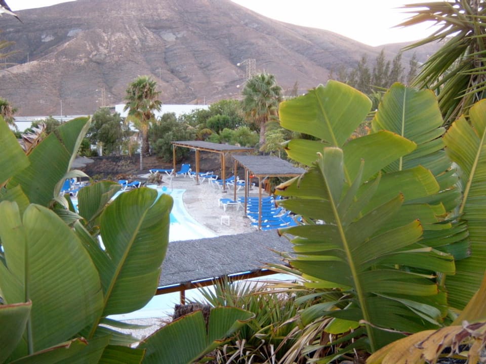 Der Animationpool von oben allsun App.-Hotel Esquinzo Beach