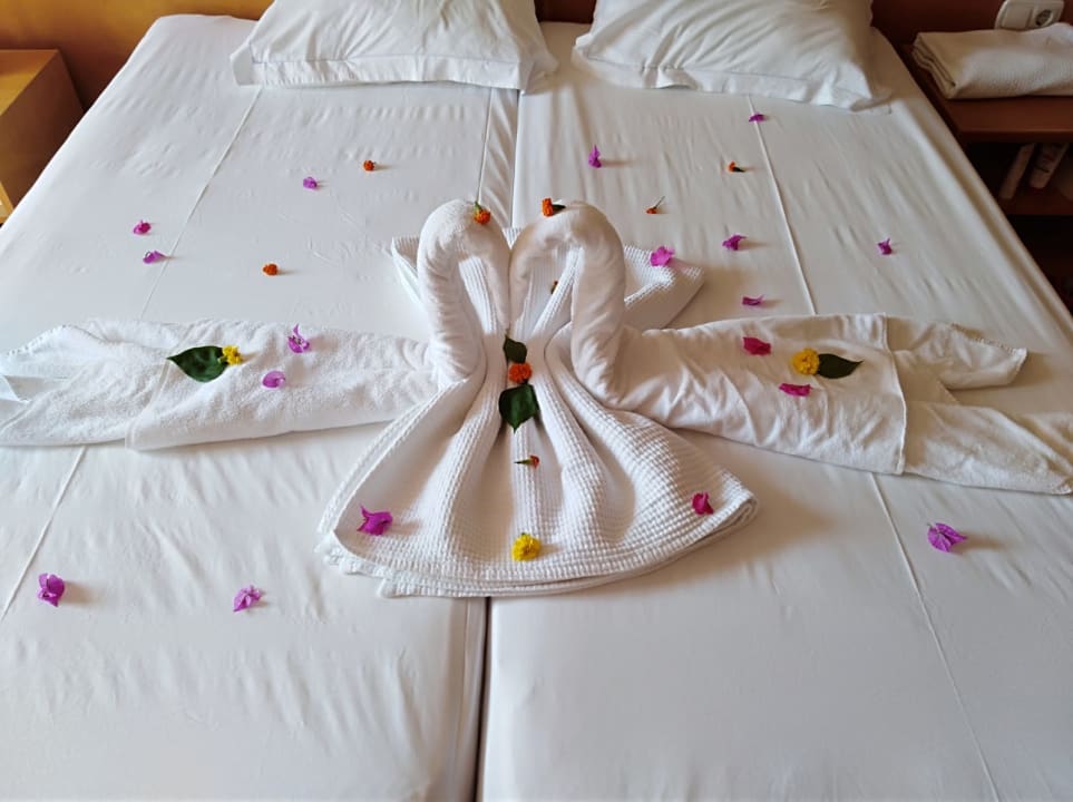 Zimmer Alba Resort Hotel
