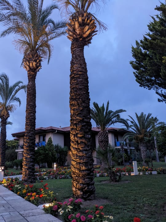 Gartenanlage TUI BLUE Palm Garden