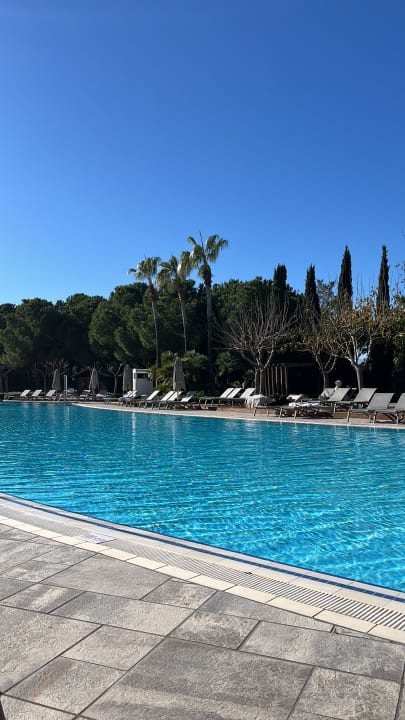 Pool Lara Barut Collection