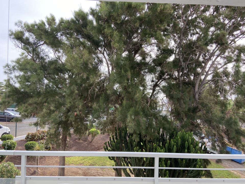 Ausblick allsun App.-Hotel Esquinzo Beach