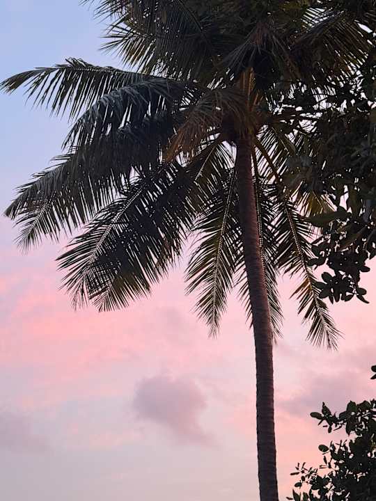 Ausblick Jawakara Islands Maldives