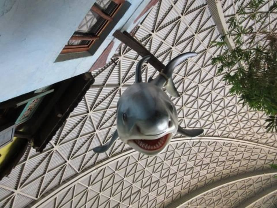 Auch Hallenwände können super Hintergrund sein Tropical Islands Resort