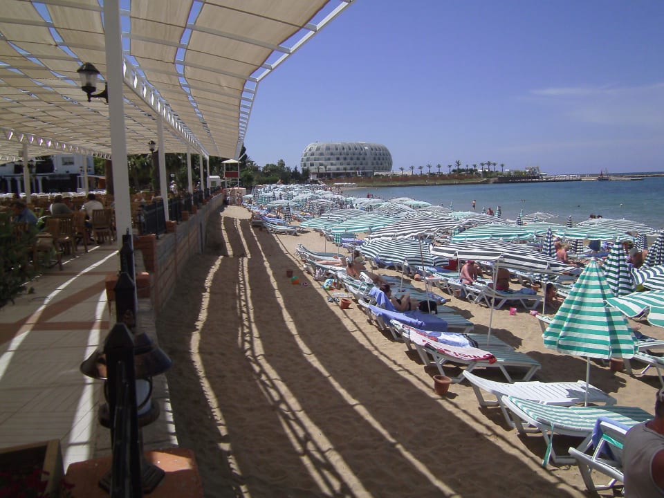 Blick von der Bar auf den Strand Lonicera Resort & Spa Hotel