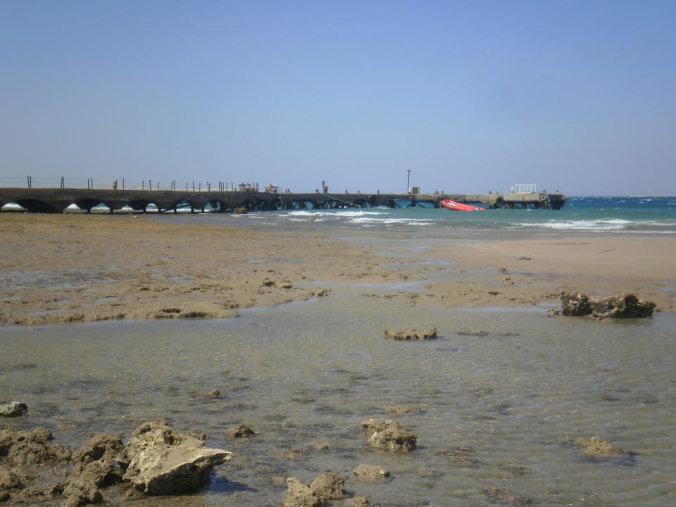 Strand bei Ebbe Pickalbatros Dana Beach Resort - Hurghada