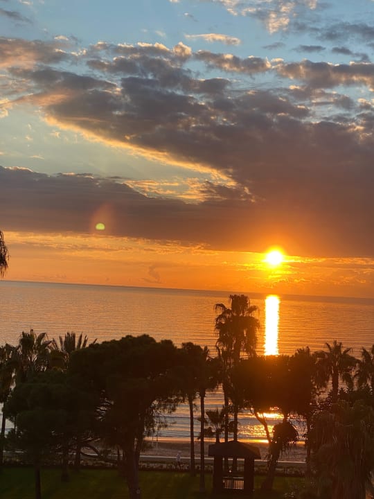Ausblick Acanthus Cennet Barut Collection
