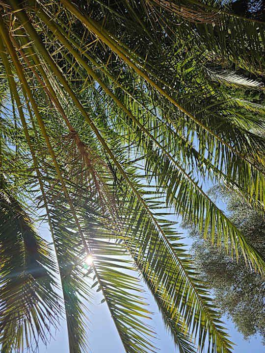 Pool Lago Garden