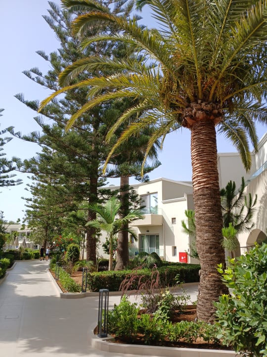 Gartenanlage Vantaris Luxury Beach Resort