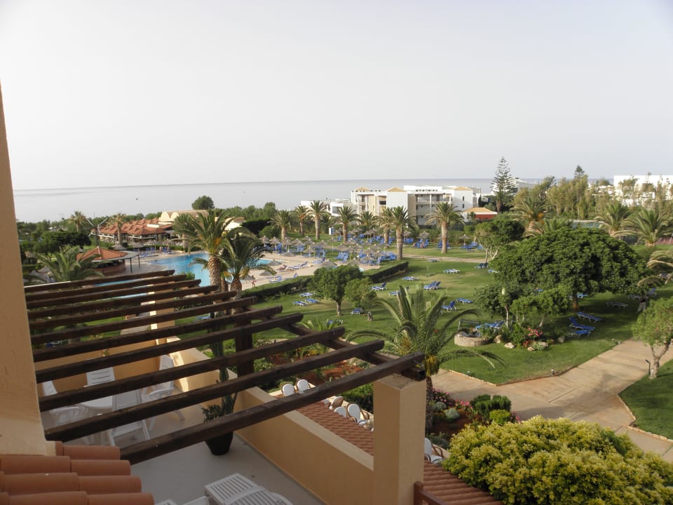 Blick in den garten bei blauem Himmel Anissa Beach & Village