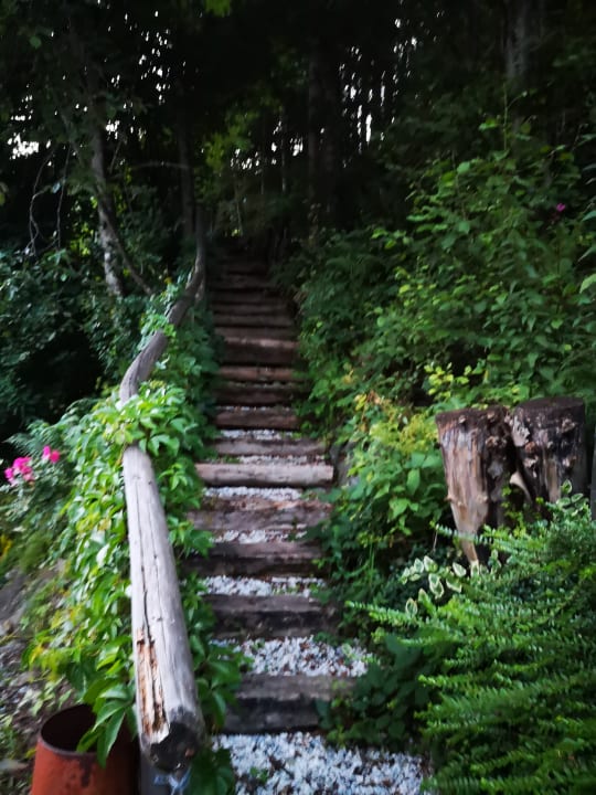 Sonstiges Apartment Waldhäusl