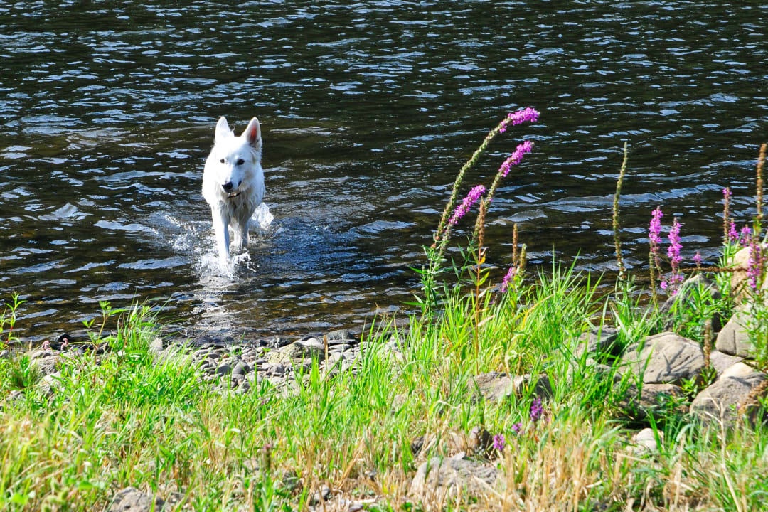 Strand Pension am Nationalpark