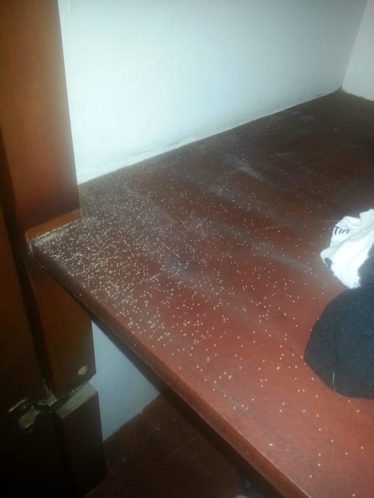 Termiten im Kleiderschrank 1 Tangerine Beach Hotel