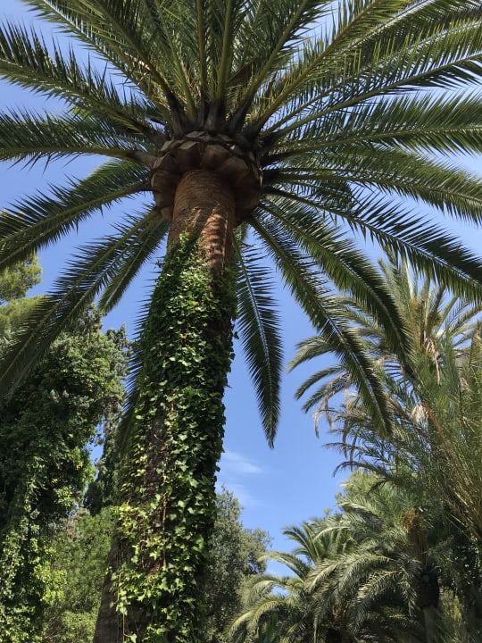 Gartenanlage Lago Garden