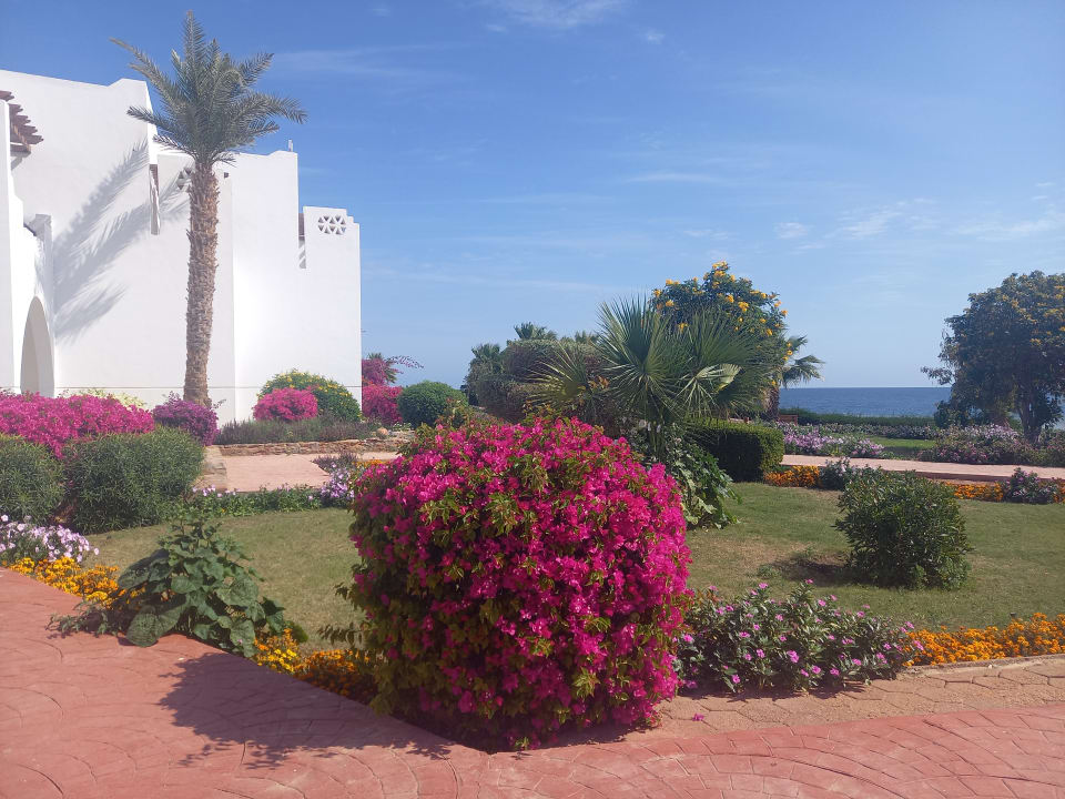 Gartenanlage Three Corners Equinox Beach Resort