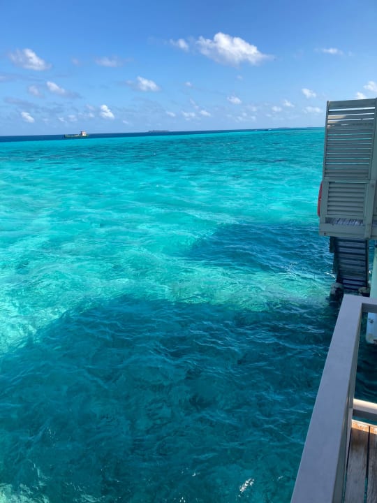 Ausblick Summer Island Maldives