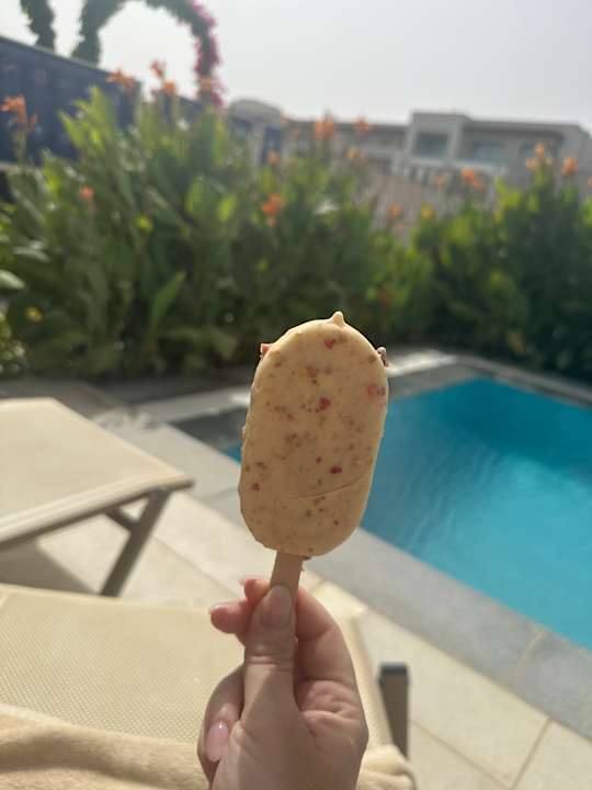 Gastro JAZ Elite Amara