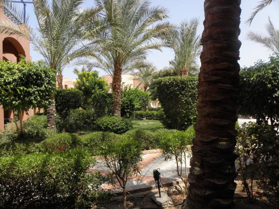 Blick von Terrasse Jaz Makadi Oasis Resort