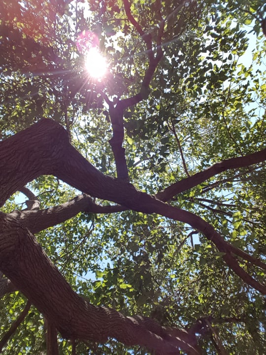 Ausblick Hotel Gardenia Beach