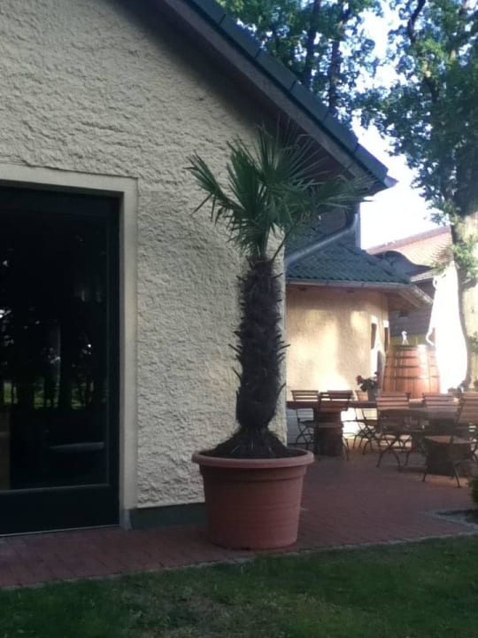 Deko Hotel garni Landhausperle an der Müritz