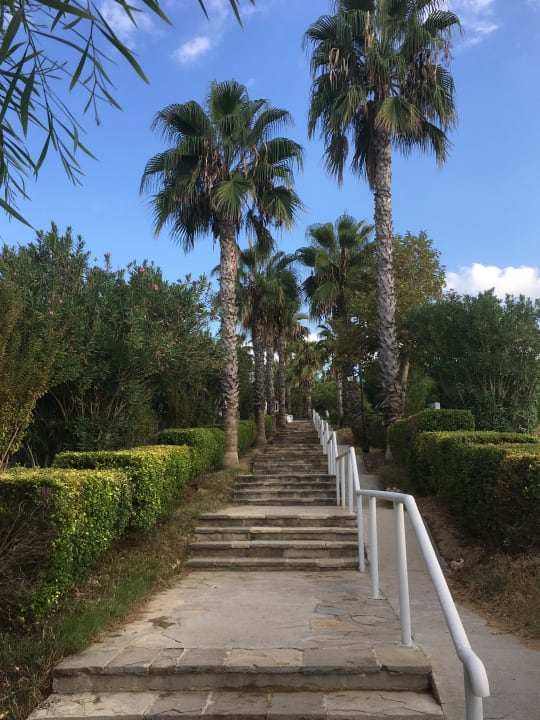 Gartenanlage Alba Queen Hotel