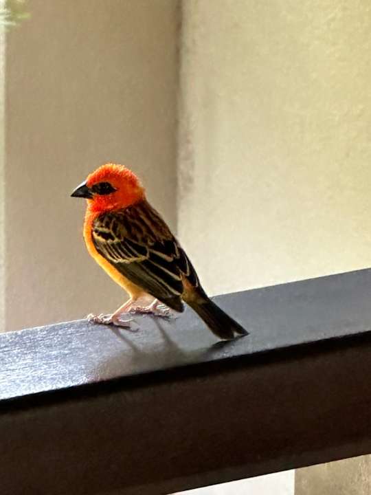 Ausblick STORY Seychelles