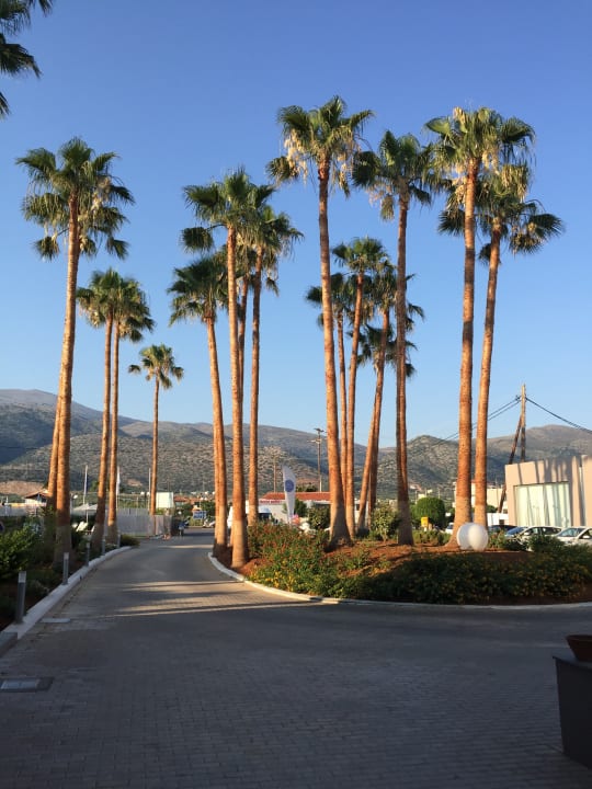 Sonstiges allsun Hotel Carolina Mare