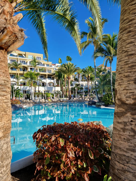 Pool Adrián Hoteles Jardines de Nivaria