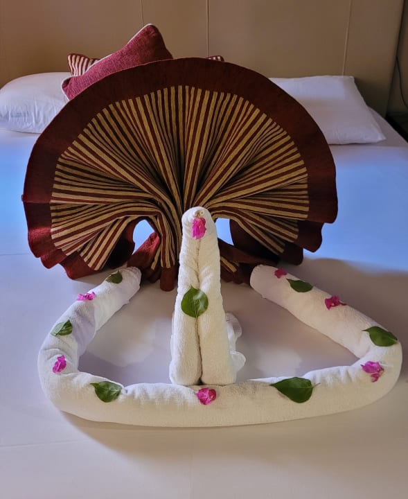 Zimmer Jaz Makadi Oasis Resort