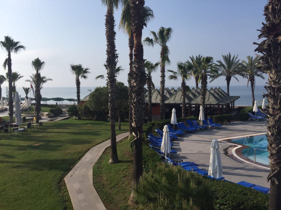 Pool Papillon Belvil