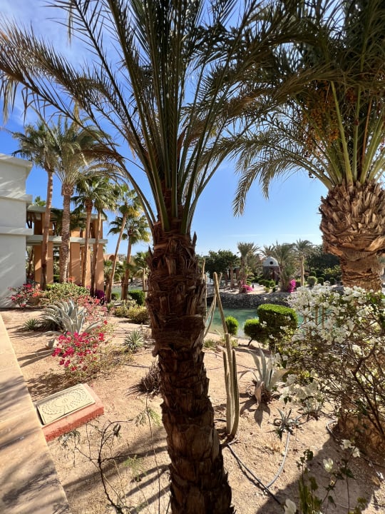 Gartenanlage Sheraton Miramar Resort El Gouna