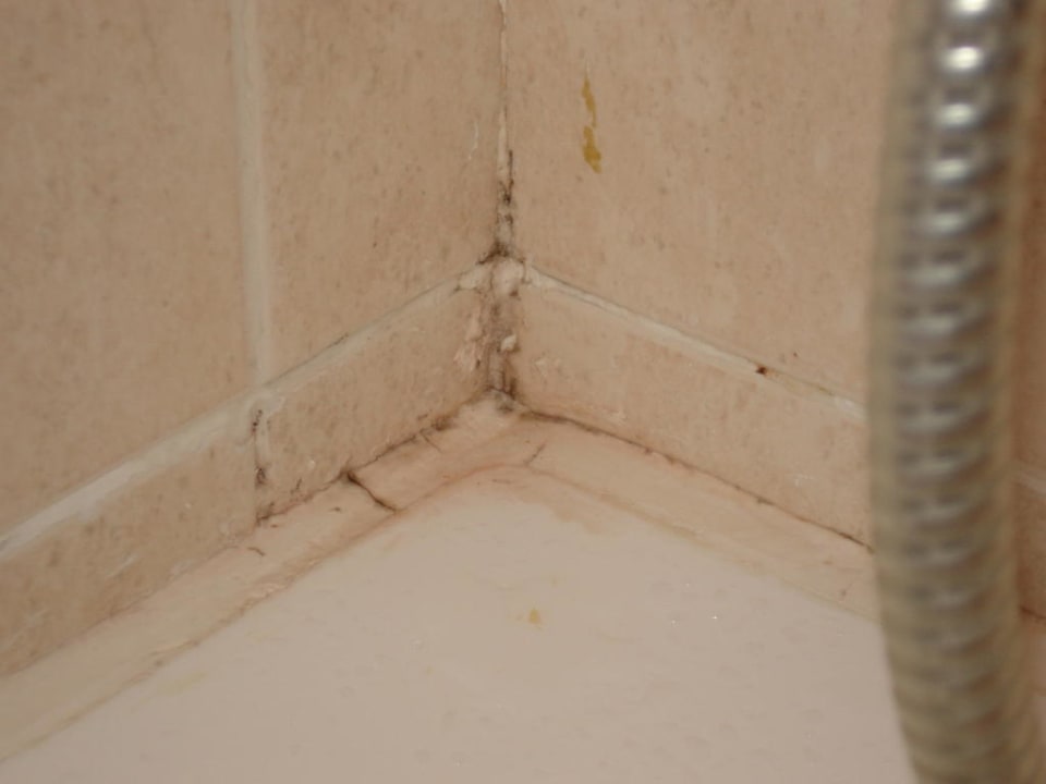 Schimmel Ozadi Altura Beach Resort