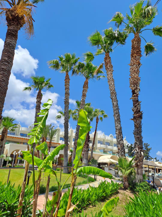 Gartenanlage Atrium Palace Thalasso Spa Resort & Villas