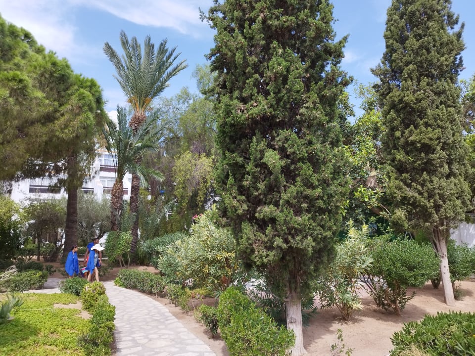 Gartenanlage Marhaba Royal Salem