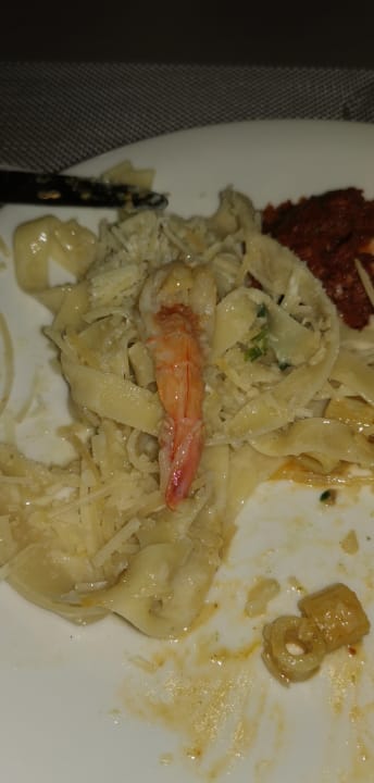 Gastro Paloma Finesse