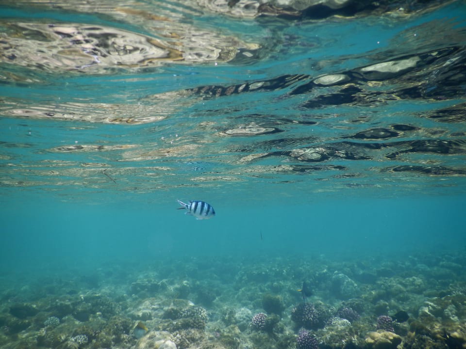 Strand JAZ Belvedere Resort
