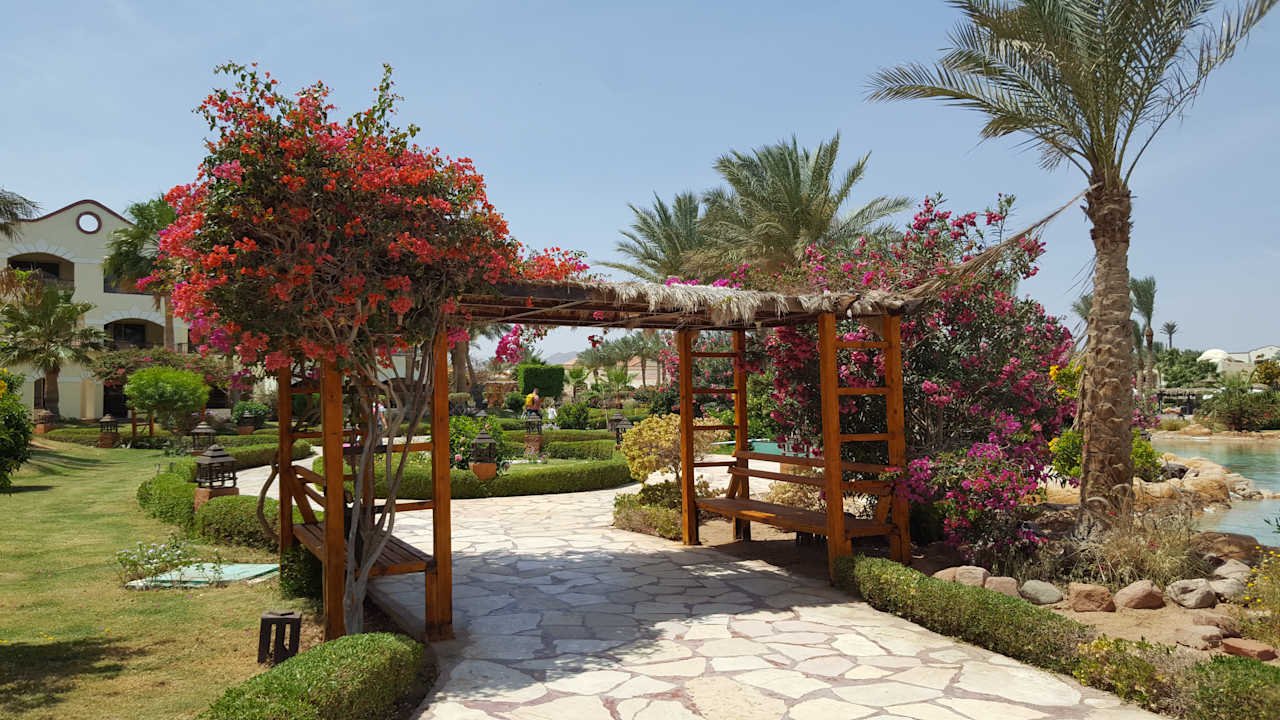 Gartenanlage Regency Plaza Aqua Park & Spa