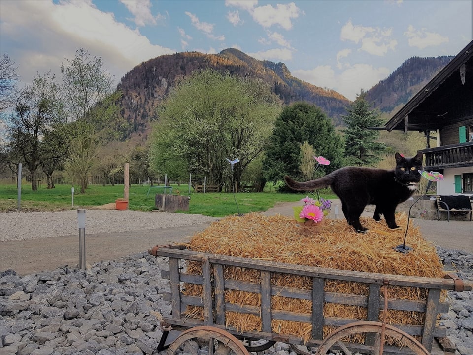 Sonstiges Ferienwohnung Riederhof