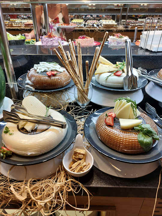 Gastro Seashell Vega