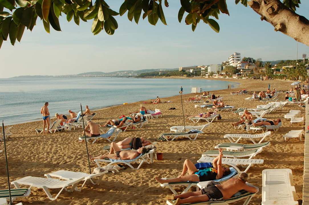 Der geflegte Strand Aska Hotel Just in Beach