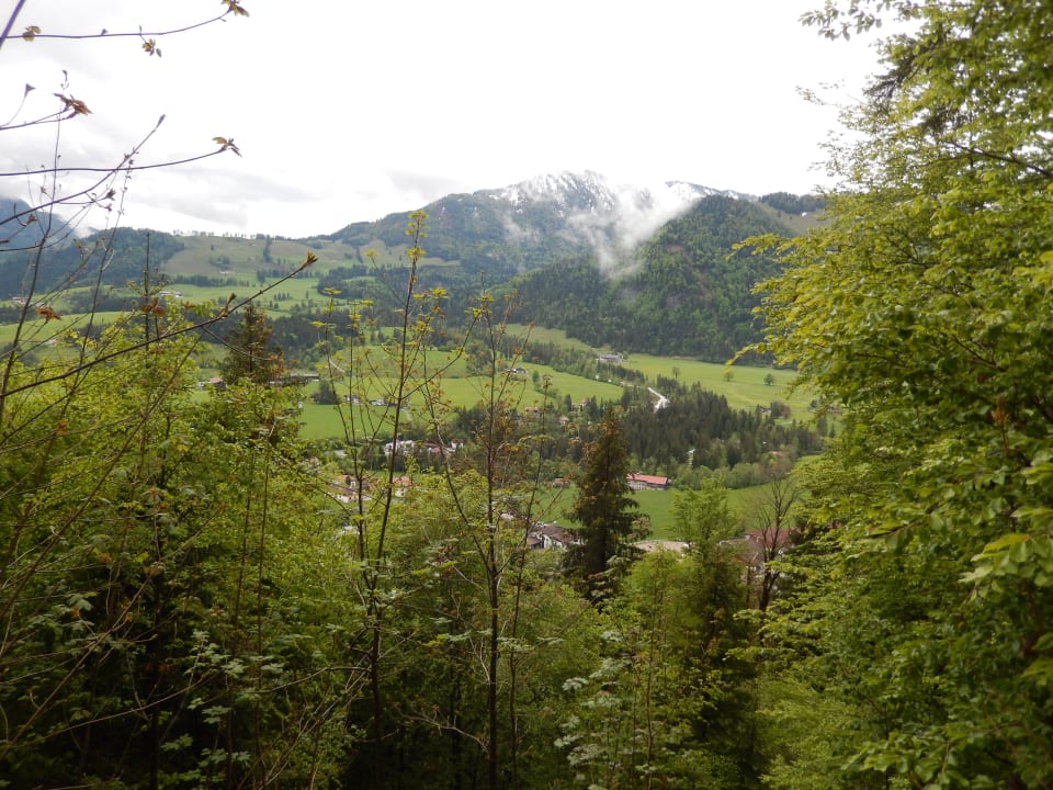 Ausblick Hotel Panorama Wellness & Spa by alpha