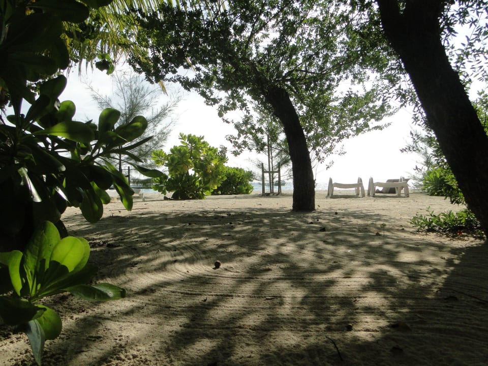 Vor Bungi Nr. 9 Summer Island Maldives
